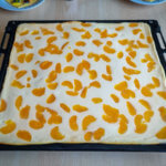 Quark - Mandarinen Kuchen vom Blech